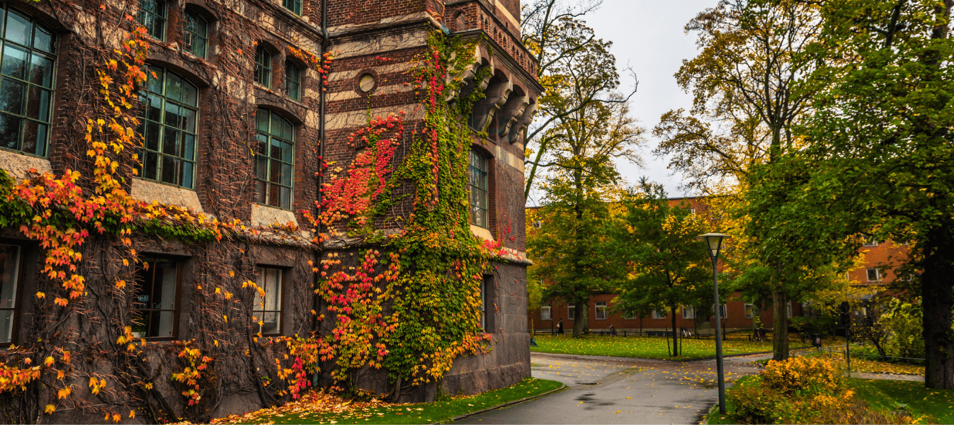 Studentlivets ABC: Förstå begrepp såsom sexa, akademisk kvart och omtenta