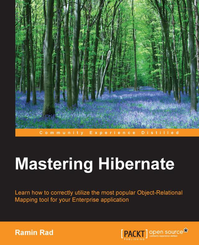 Mastering Hibernate by 