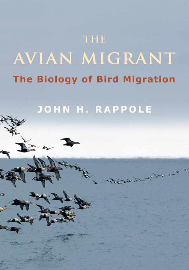 The Avian Migrant by John H. Rappole