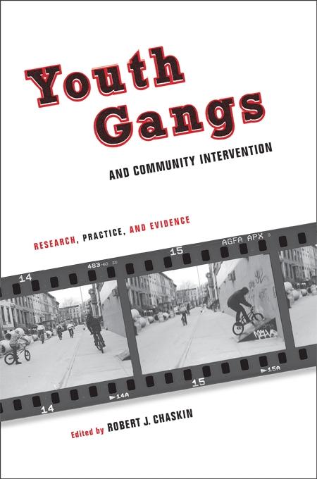 Youth Gangs and Community Intervention by Robert Chaskin