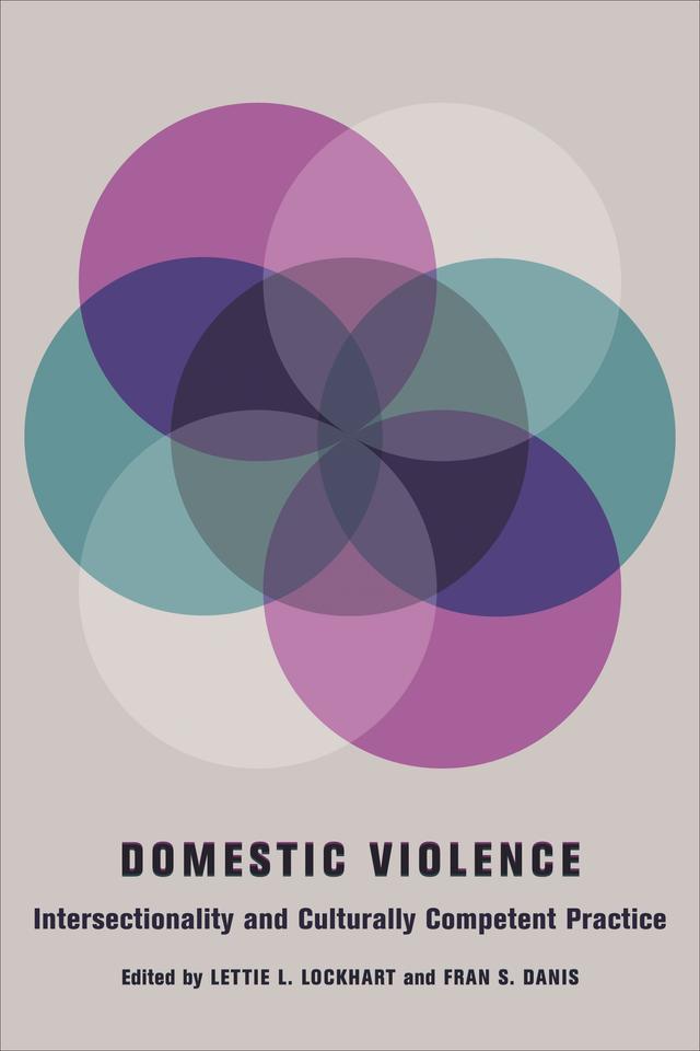Domestic Violence by Fran S Danis, Lettie L Lockhart