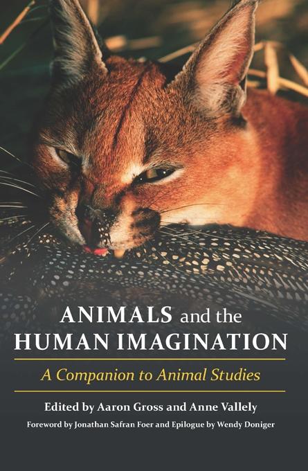 Animals and the Human Imagination by Aaron S. Gross, Anne Vallely, Jonathan Safran Foer, Wendy Doniger