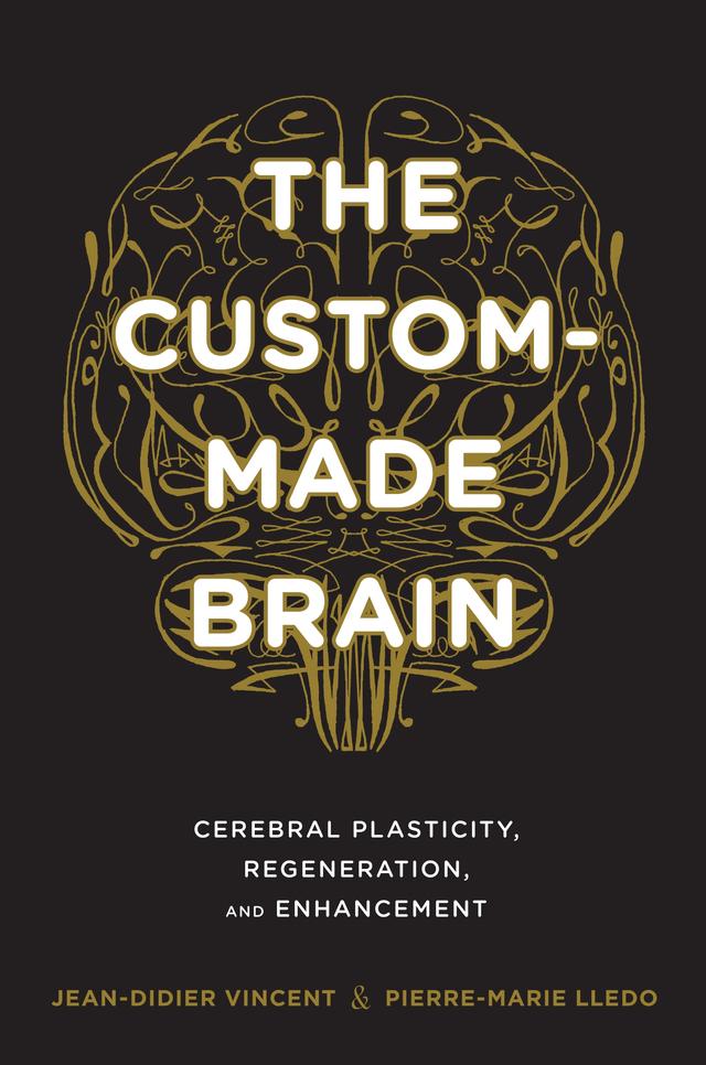 The Custom-Made Brain by Jean-Didier Vincent, Laurence Garey, Pierre-Marie Lledo