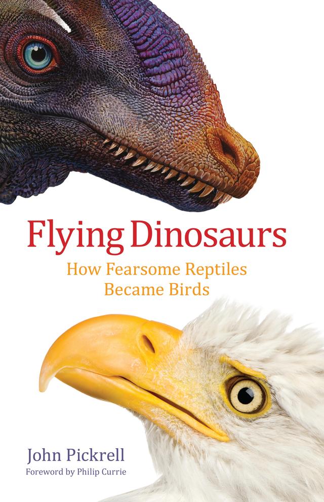 Flying Dinosaurs by John Pickrell
