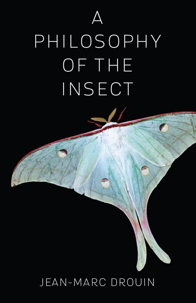 A Philosophy of the Insect by Anne Trager, Jean-Marc Drouin