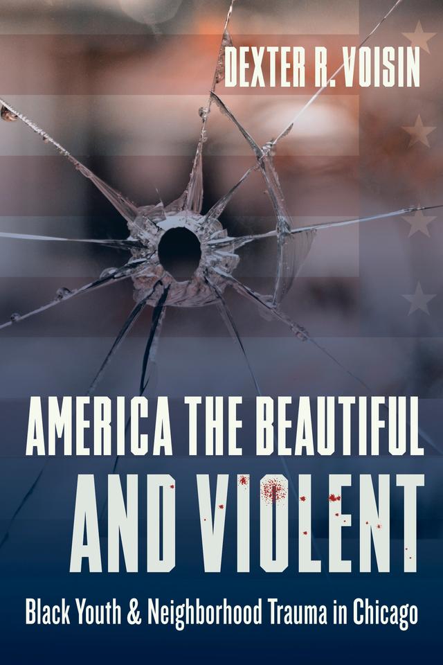 America the Beautiful and Violent by Dexter R. Voisin