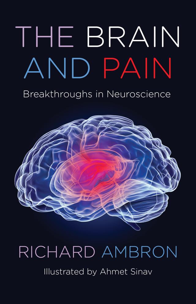 The Brain and Pain by Richard Ambron