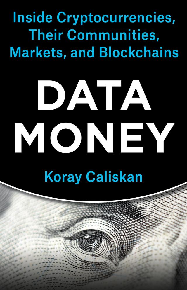 Data Money by Koray Caliskan