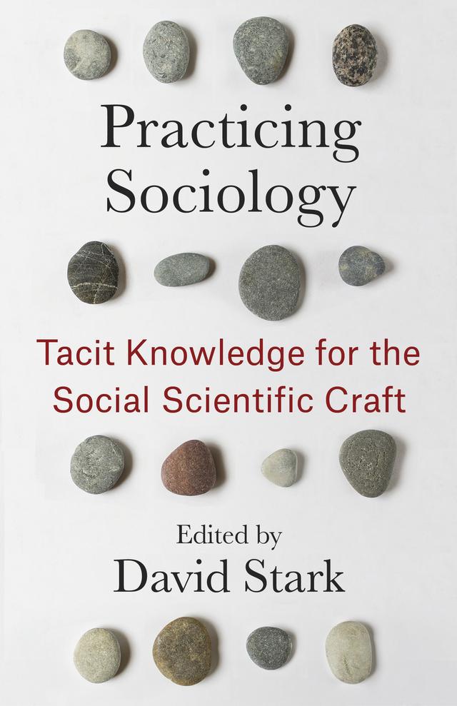 Practicing Sociology by David Stark