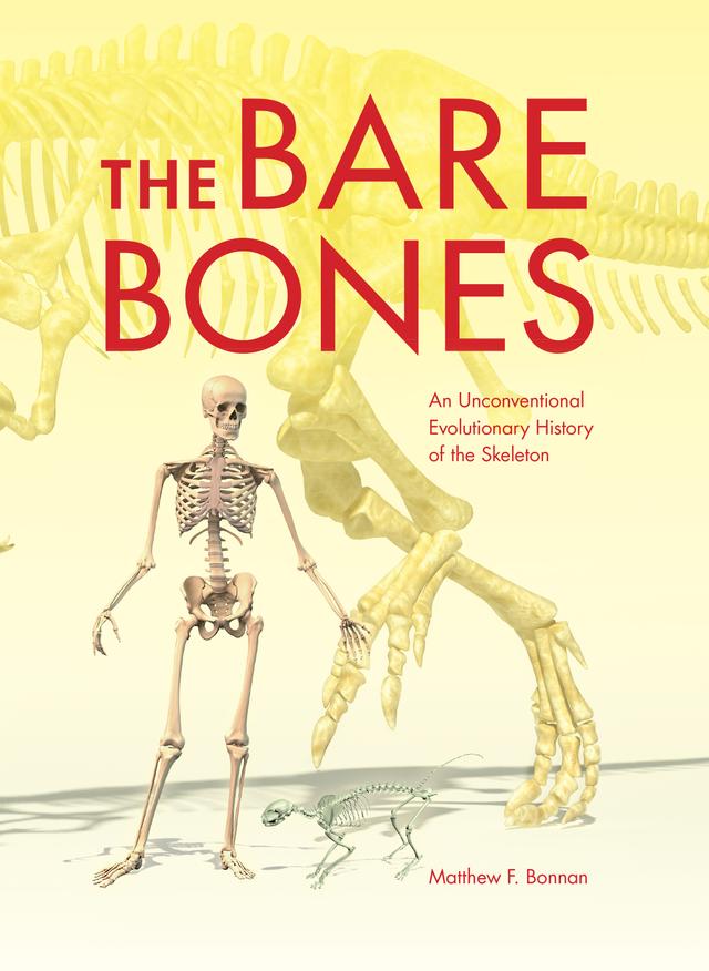 The Bare Bones by Matthew F. Bonnan