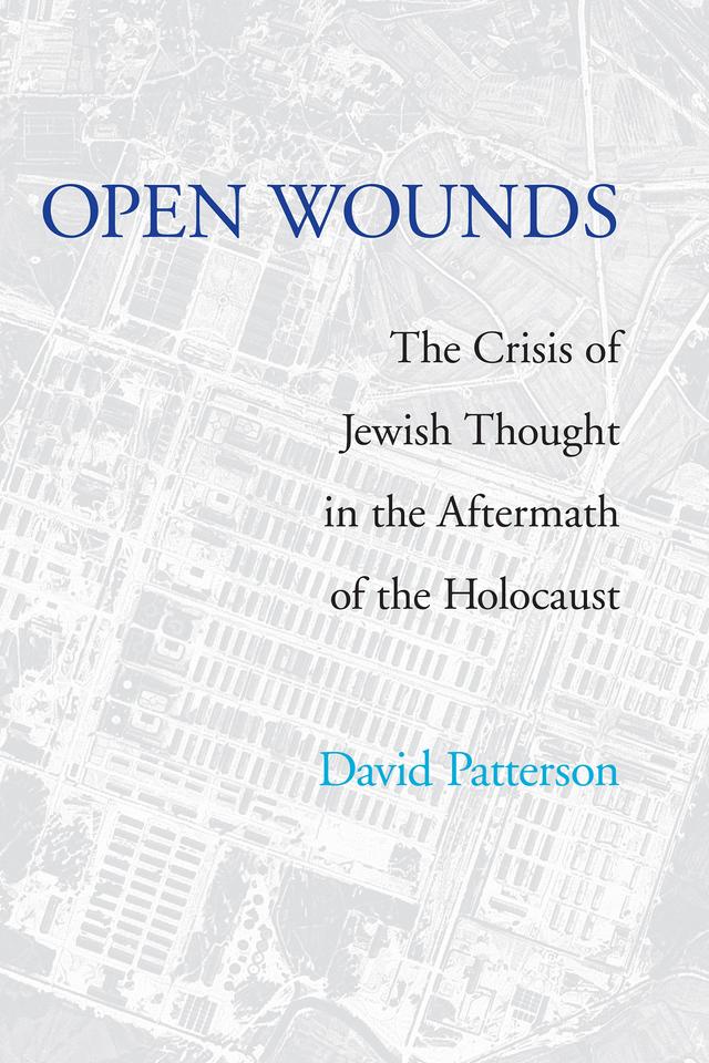 Open Wounds by David Patterson