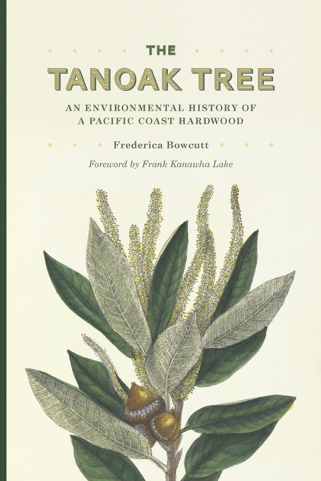 The Tanoak Tree by Frederica Bowcutt