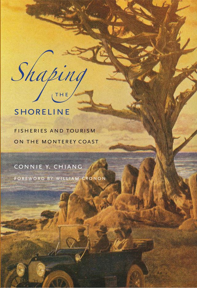 Shaping the Shoreline by Connie Y. Chiang, William Cronon