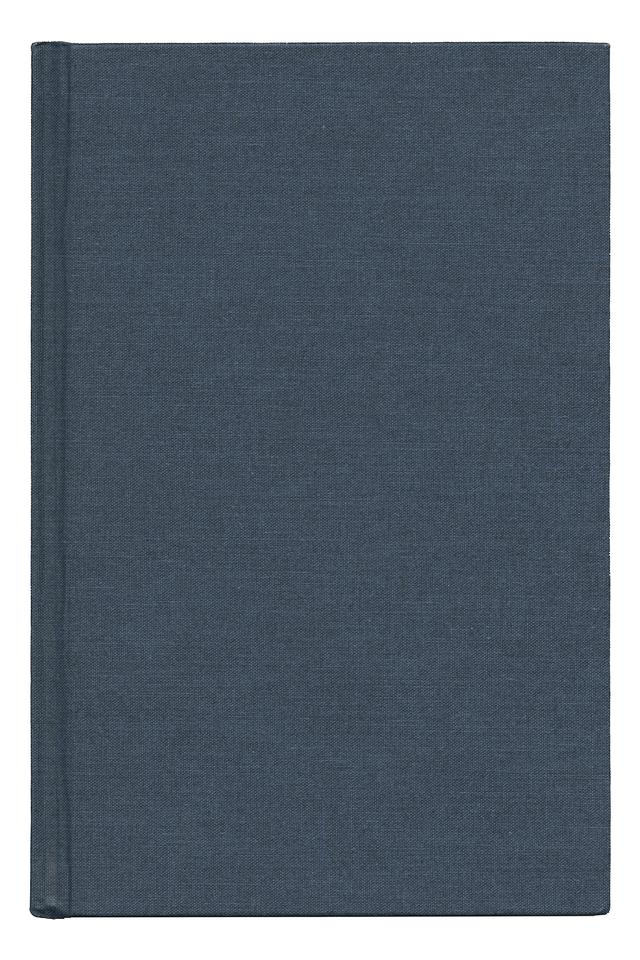 Los Angeles--Struggles toward Multiethnic Community by Edward T. Chang, Russell Charles Leong