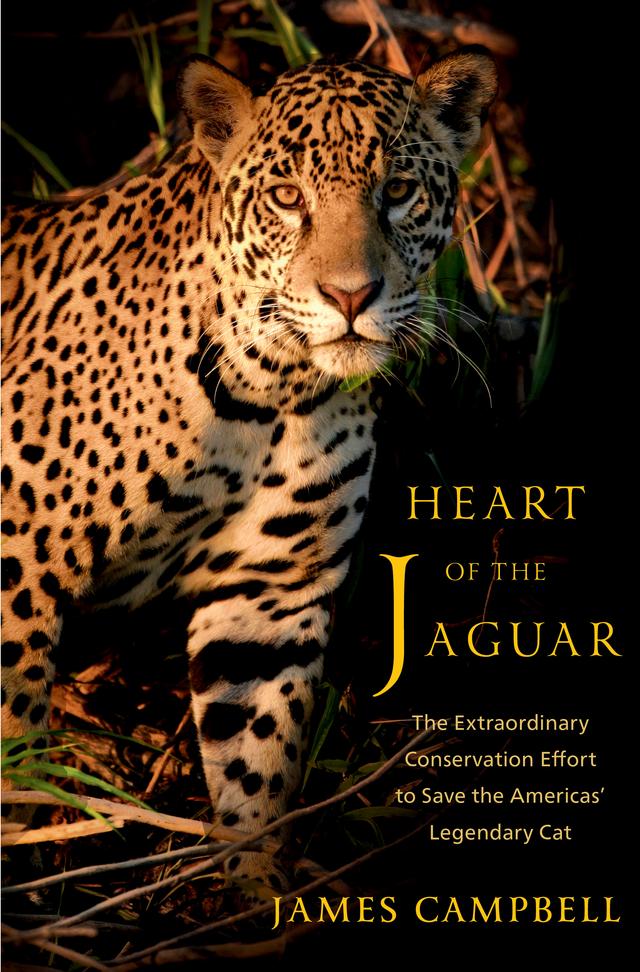 Heart of the Jaguar by James Campbell