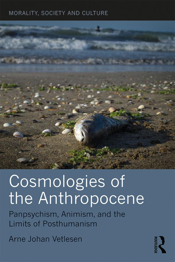 Cosmologies of the Anthropocene by Arne Johan Vetlesen
