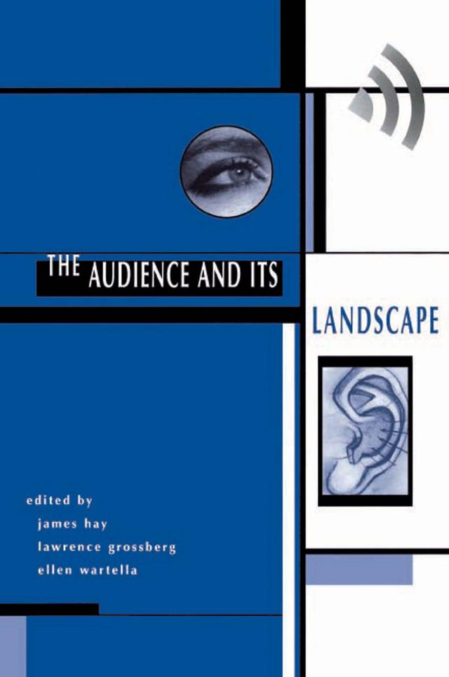 The Audience And Its Landscape by James Hay