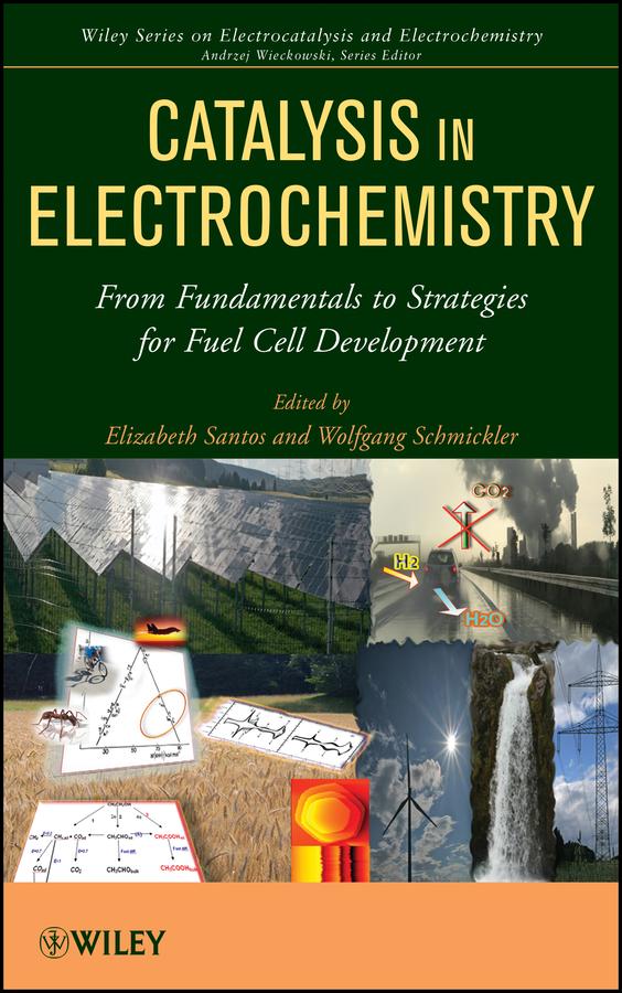 Catalysis in Electrochemistry by Elizabeth Santos, Wolfgang Schmickler