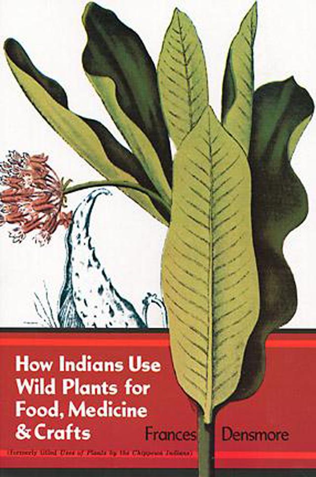 How Indians Use Wild Plants for Food, Medicine & Crafts by Frances Densmore