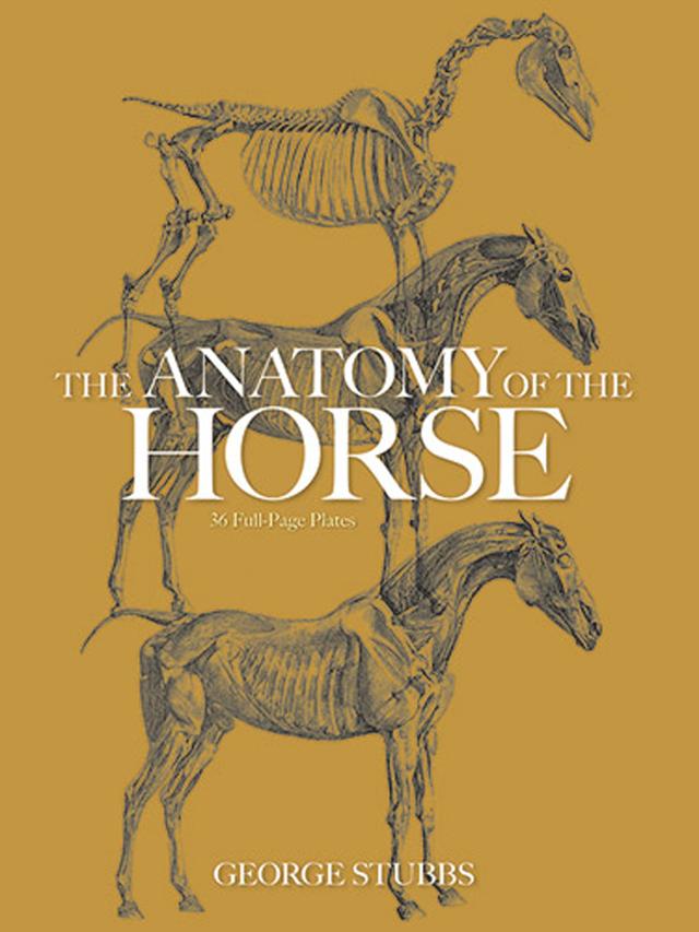 The Anatomy of the Horse by George Stubbs