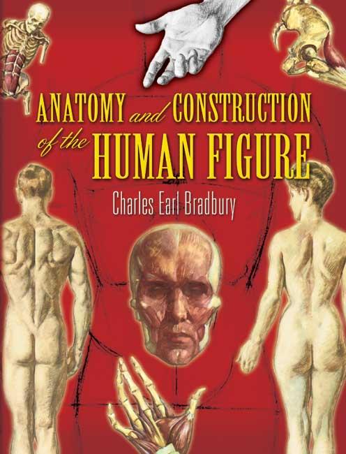 Anatomy and Construction of the Human Figure by Charles Earl Bradbury
