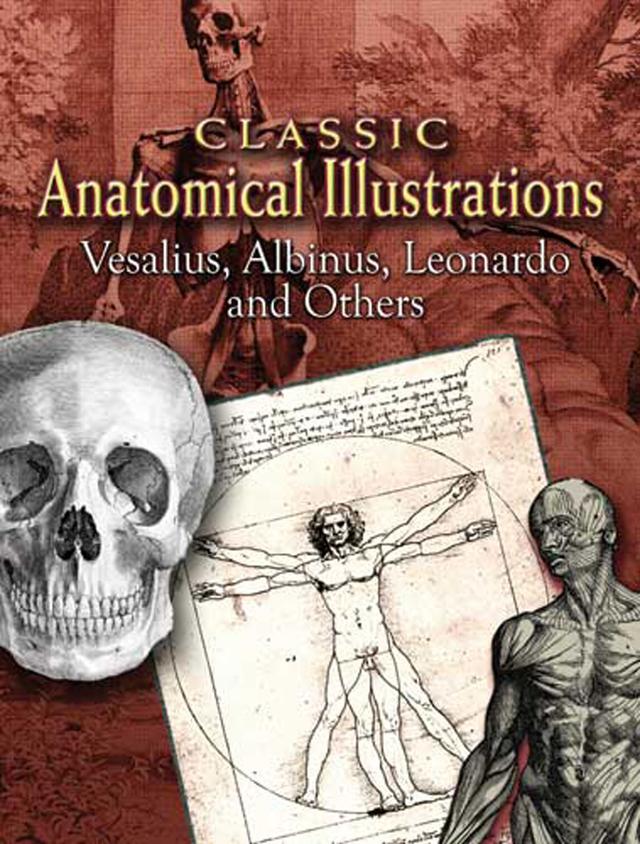 Classic Anatomical Illustrations by Albinus, Leonardo, Vesalius