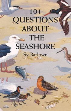 101 Questions About the Seashore by Sy Barlowe