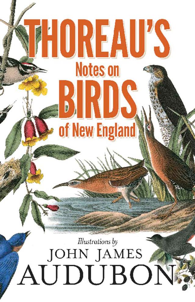 Thoreau's Notes on Birds of New England by Francis H. Allen, Henry David Thoreau
