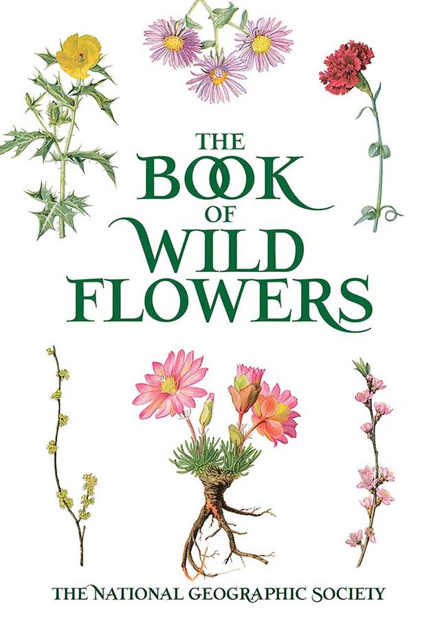 The Book of Wild Flowers by E. J. Geske, Mary E. Eaton, The National Geographic Society