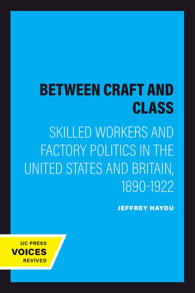 Between Craft and Class by Jeffrey Haydu