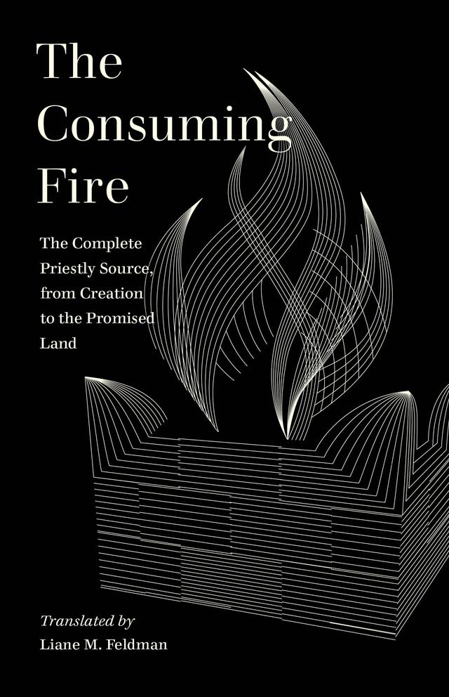 The Consuming Fire by Liane M. Feldman