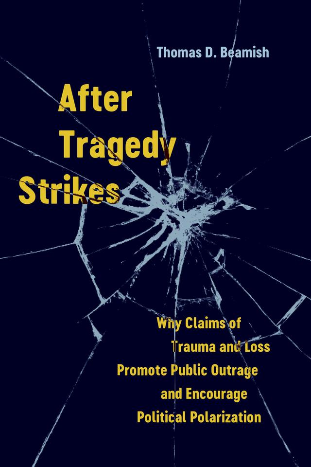After Tragedy Strikes by Thomas D. Beamish