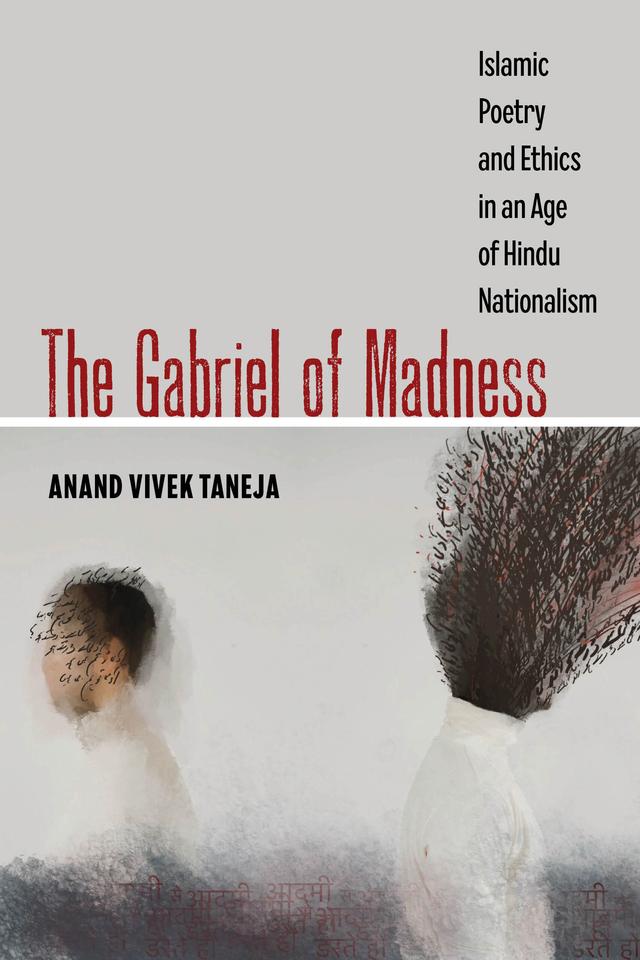 The Gabriel of Madness by Anand Vivek Taneja