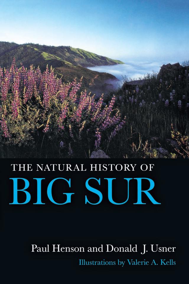 The Natural History of Big Sur by Donald J. Usner, Paul Henson