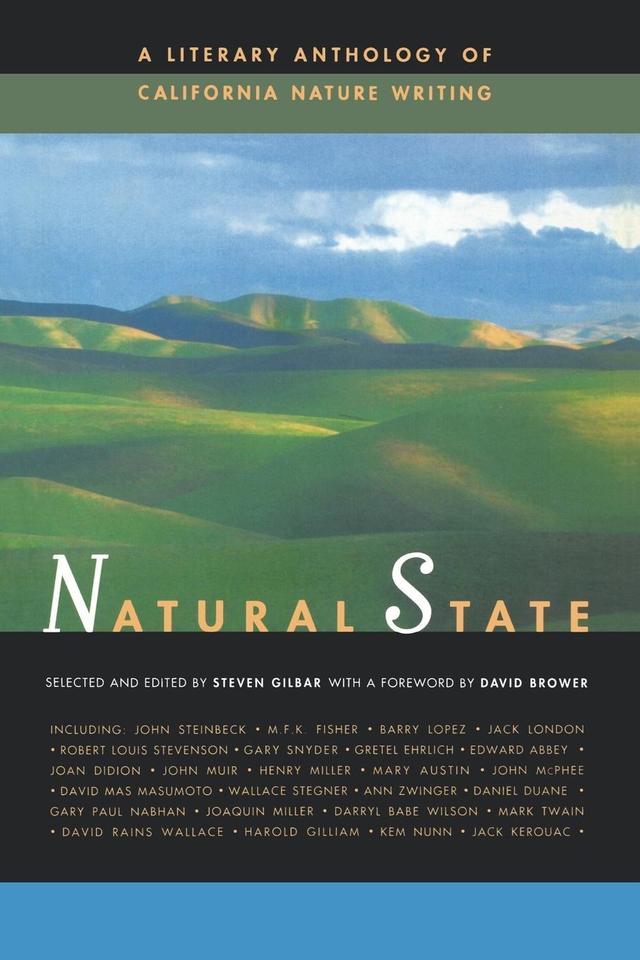 Natural State by Steven Gilbar