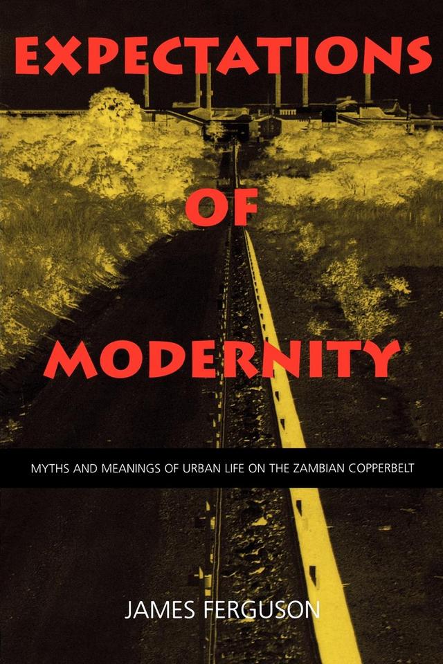 Expectations of Modernity by James Ferguson
