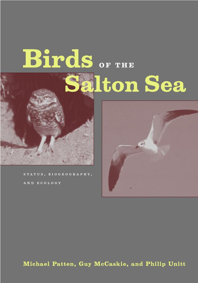 Birds of the Salton Sea by Guy McCaskie, Michael Patten, Philip Unitt
