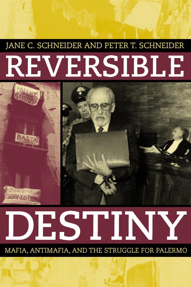 Reversible Destiny by Jane Schneider, Peter T. Schneider