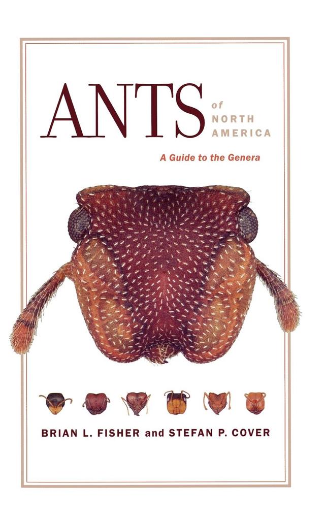 Ants of North America by Brian L. Fisher, Stefan P. Cover Ph. D.