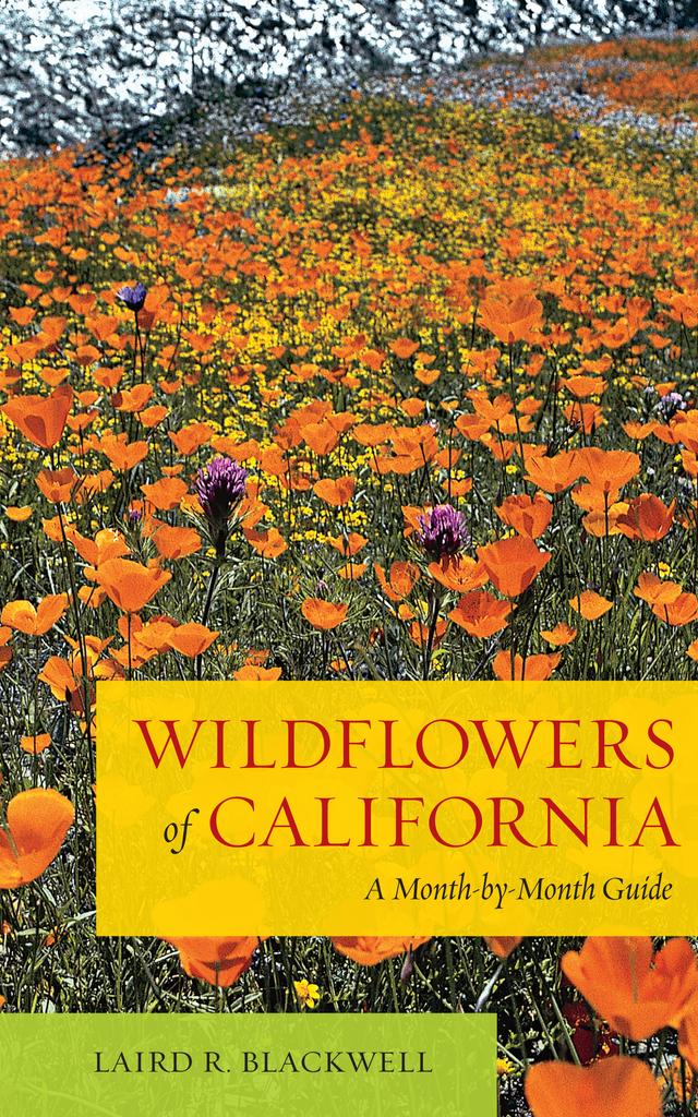 Wildflowers of California by Laird Blackwell