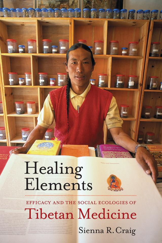 Healing Elements by Sienna R. Craig