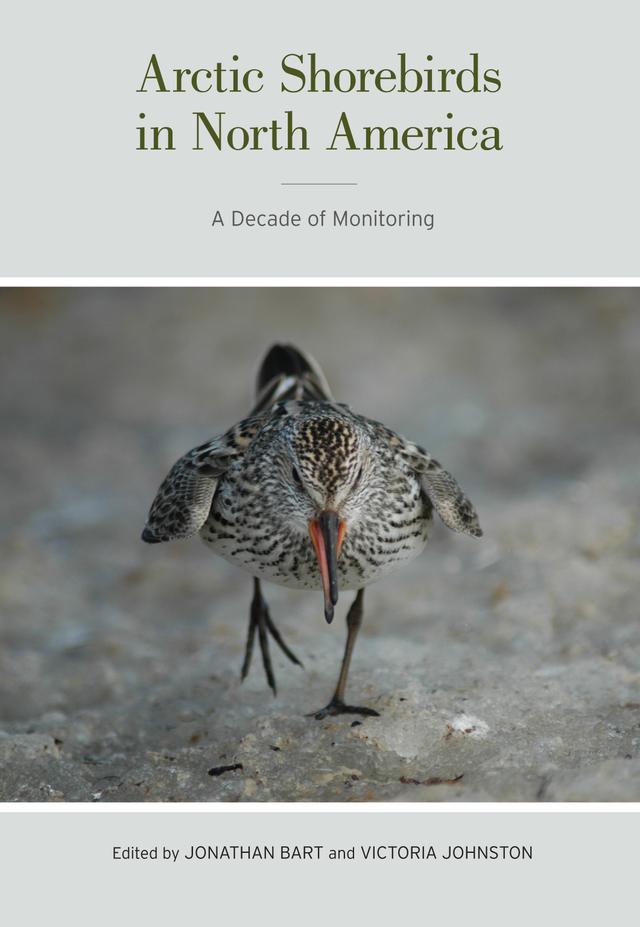 Arctic Shorebirds in North America by Jonathan Robert Bart, Victoria Helen Johnston