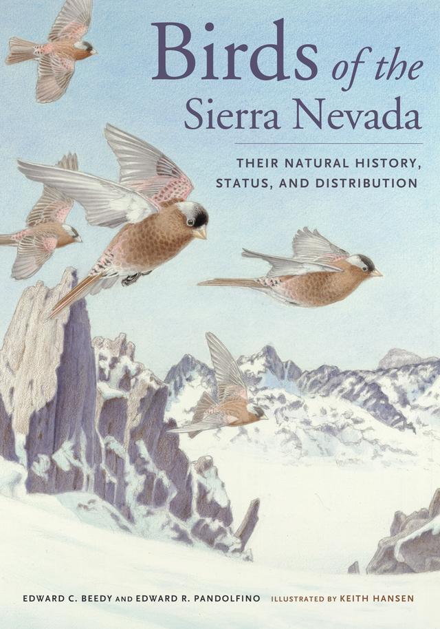 Birds of the Sierra Nevada by Ed Pandolfino, Ted Beedy