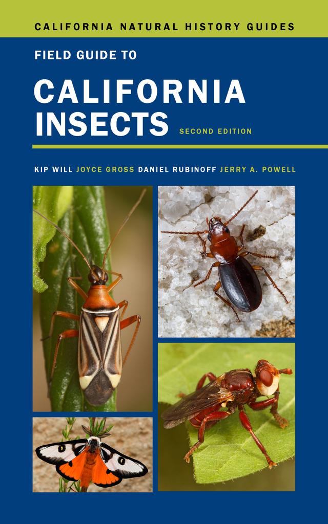 Field Guide to California Insects by Kip Will