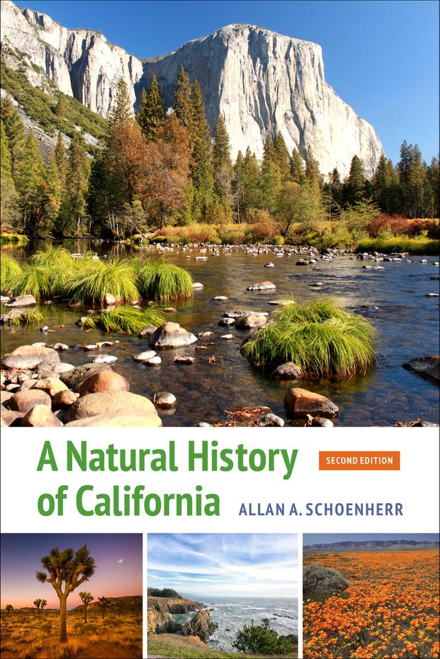 A Natural History of California by Allan A. Schoenherr