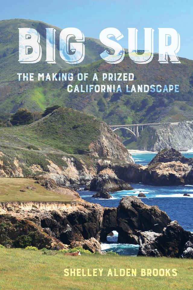 Big Sur by Shelley Alden Brooks