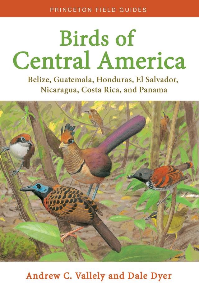 Birds of Central America by Andrew C. Vallely, Dale Dyer