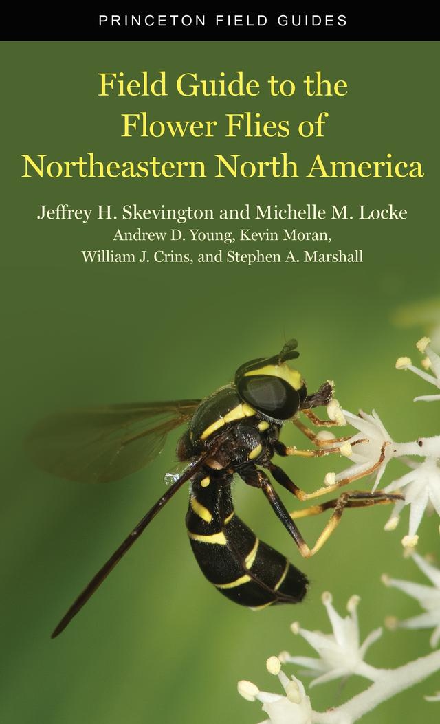 Field Guide to the Flower Flies of Northeastern North America by Andrew D. Young, Jeffrey H. Skevington, Kevin Moran, Michelle M. Locke, Stephen A. Marshall, William J. Crins