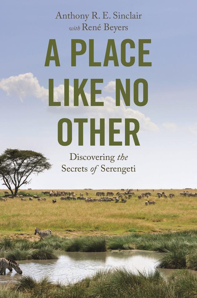 A Place like No Other by Anthony R. E. Sinclair, René Beyers