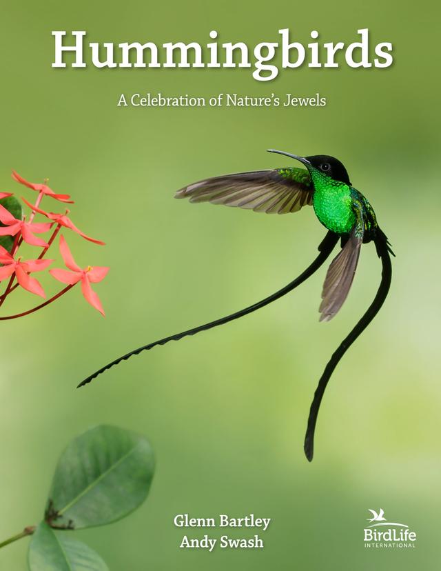 Hummingbirds by Andy Swash, Christopher J. Sharpe, Glenn Bartley, Jeanne Melchels, Patricia Zurita, Robert Still, Rob Hume